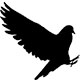A black outline of a feral pigeon from the oppiset side