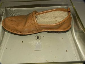 A shoe covered in faecal marks