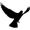 a black outline of a feral pigeon landing with its wings out